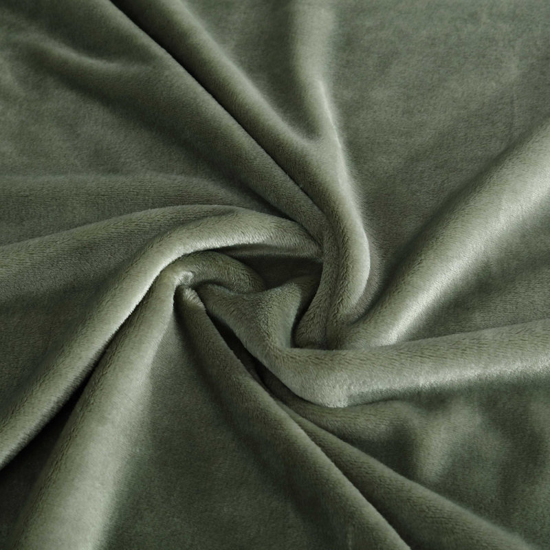 Nautica Solid Ultra Soft Plush Fleece Blanket, Queen, Light Green