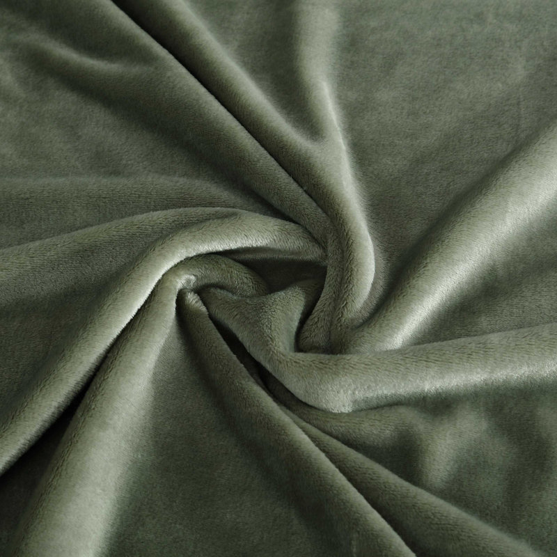 Nautica Solid Ultra Soft Plush Fleece Dorm Ready Blanket, Queen, Light Green
