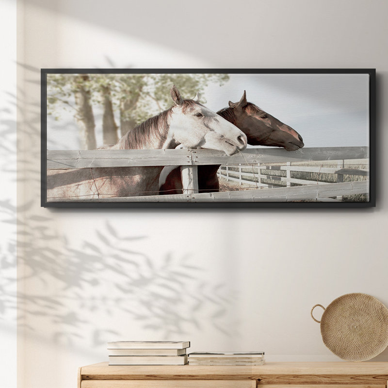Friendly Visit- Framed Canvas, 20" H x 50" W
