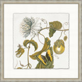 Garden Butterflies 8 Print