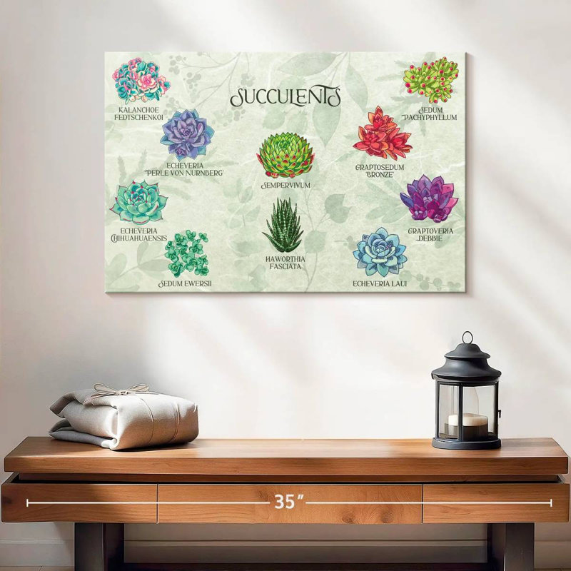 Harnek Succulents Chart, 16" H x 24" W