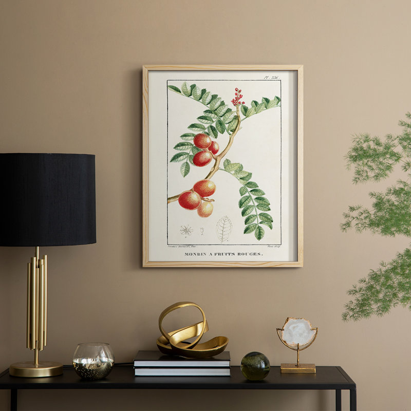 Reproduction encadrée Turpin Tropical Botanicals III - bois massif, H 11 po x l 9 po