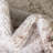 Brandt Rug-578055012-580685334-599282414