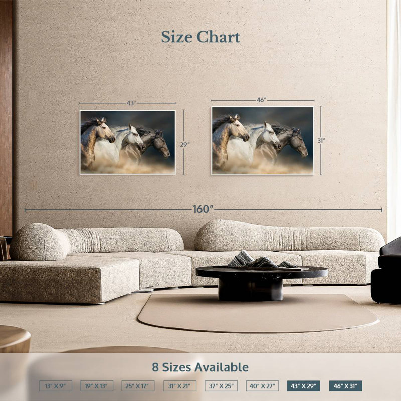 Chevaux magnifiques, Cadre flottant blanc, 43 po x 29 po