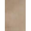 One-of-a-Kind Hand Knotted Area Rug