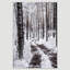 «Winter Snow Forest Trees» sur-99141682-99141684