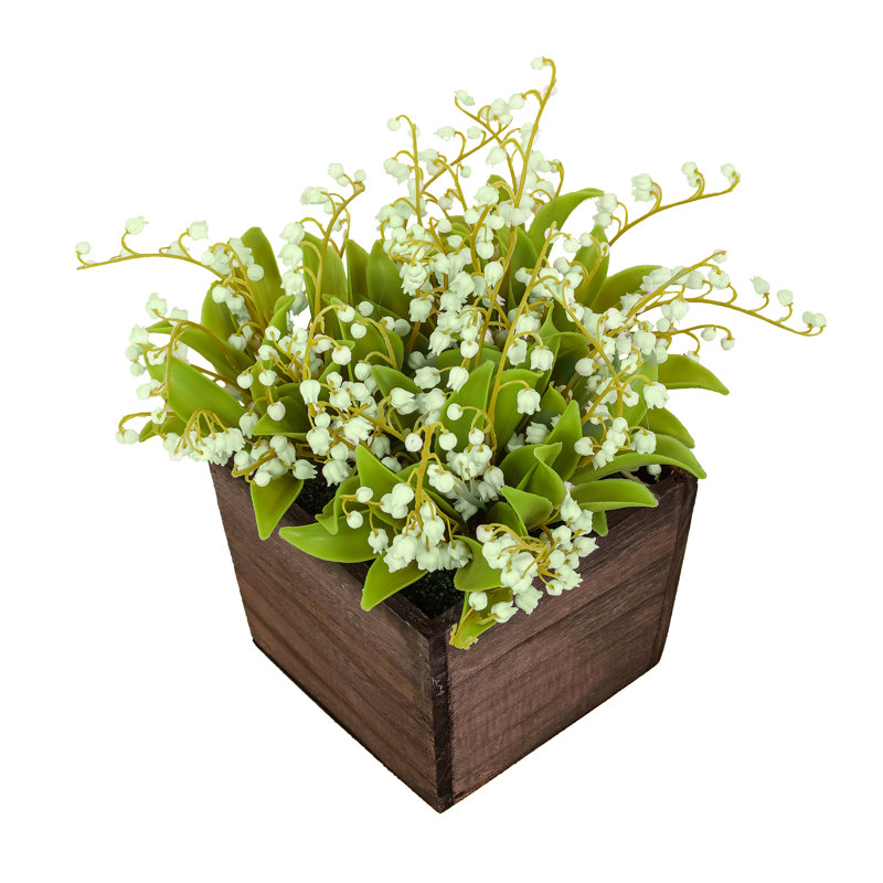 Muguet dans une boîte en bois, Vert