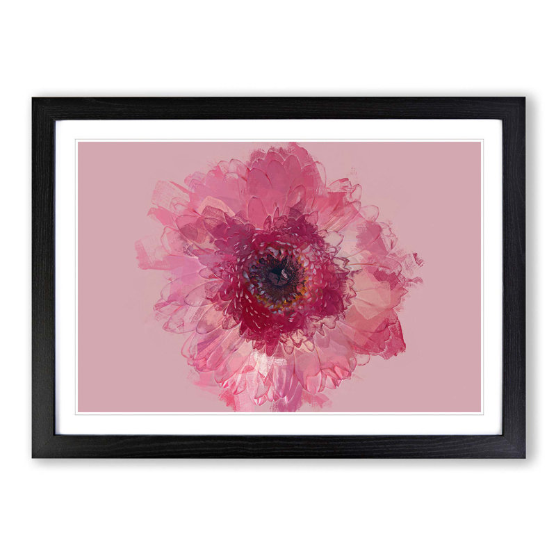 Layers of a Pink Gerbera in Abstract - Picture Frame Graphic Art Print, 36cm H x 48cm W x 2cm D, Black Framed