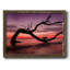 Photographie, étude, coucher de soleil, plage, reproduction encadrée sur toile-96281120-96281121