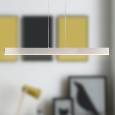 Luminaire suspendu simple à 1 lumière Tarrance