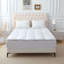 Katharyn 2cm Mattress Topper-1932222868