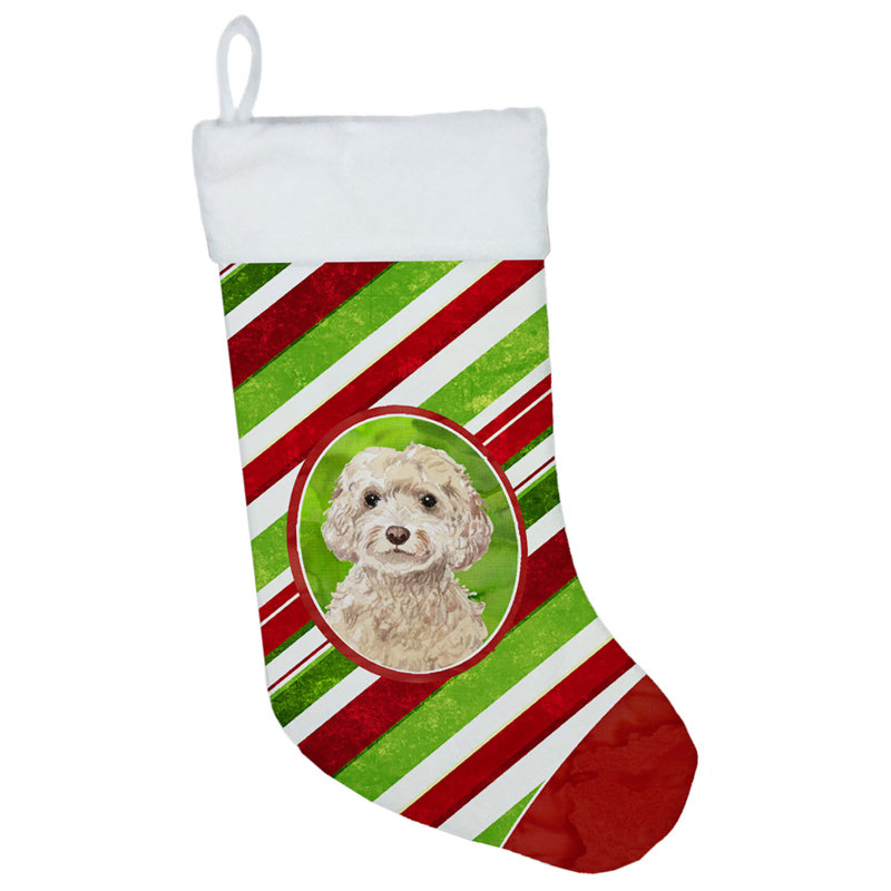 Chaussette de noël à rayures à sucre, Cockapoo champagne