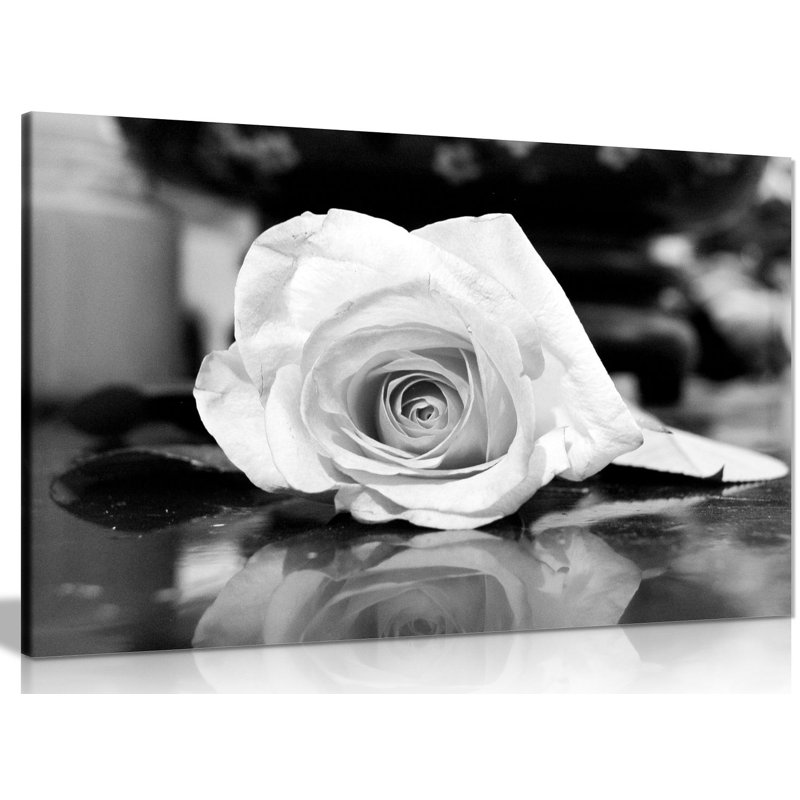 Rose - Wrapped Canvas Print, 41cm H x 61cm W