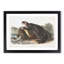Sea Otter by J.W. Audubon - Picture Frame Painting Print-55614074-55614075