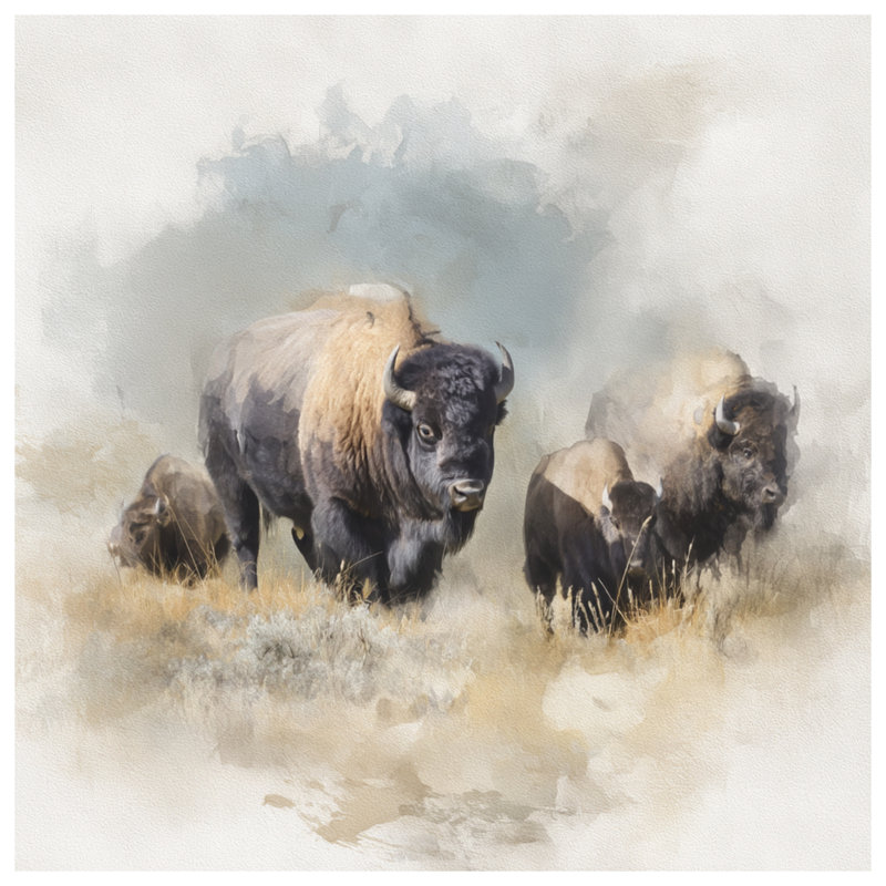 Rideaux de douche Bison, 70 po l x 72 po H