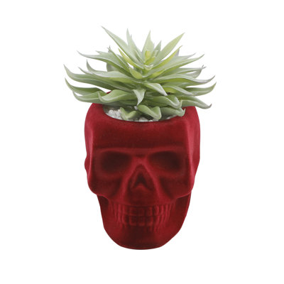 Halloween Decorative Accent