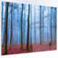 « brumey forest », reproduction de photo-34273778-35222402
