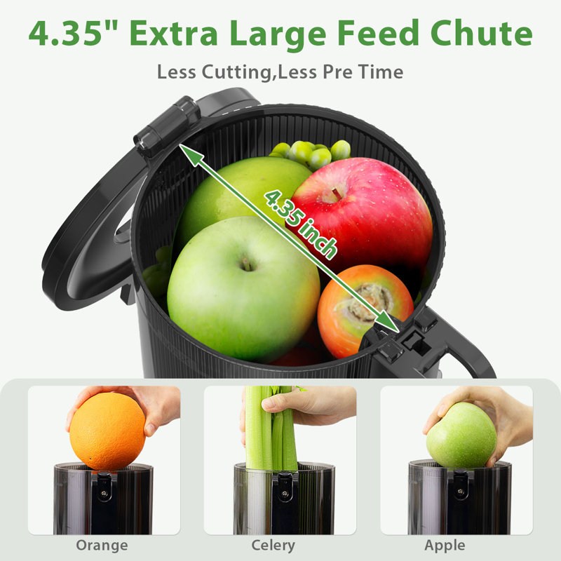 ECOSELF Cold Press Juicer with 4.35" Large Feed Chute Fit Whole Fruits and Vegetables & Easy to Clean, Black