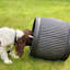 Fibreglass Plant Pot-1382639509-1382639507