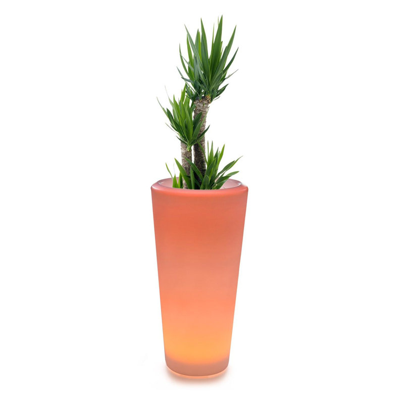 Cachepot