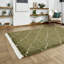 Pechler area rug Machine Woven Green-1409279432