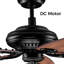 52'' Ceiling Fan with Light Kit