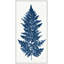 Blue Fern 4 Print-1060728466-1060728462