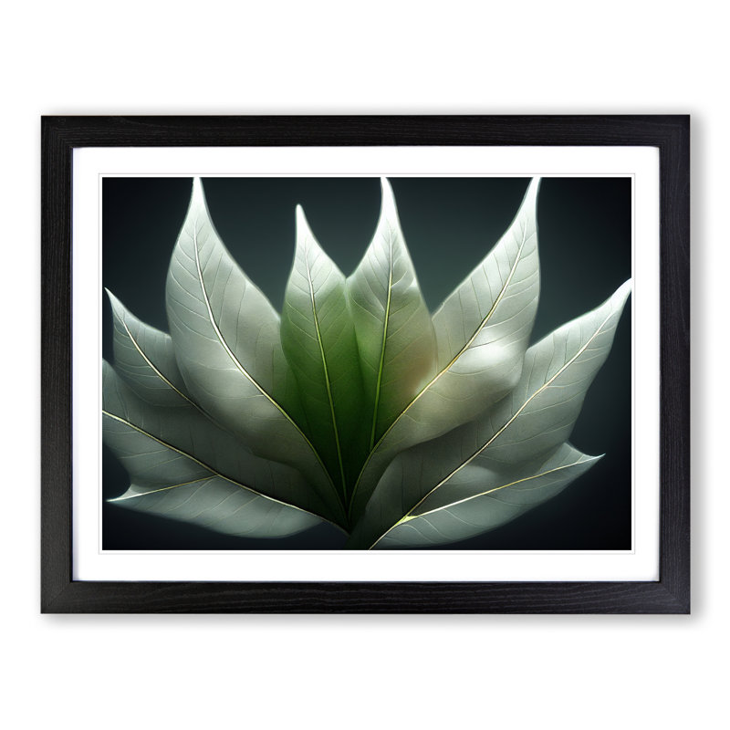 Enlightened Leaf - Single Picture Frame Print, 46cm H x 64cm W x 2cm D, Black Framed