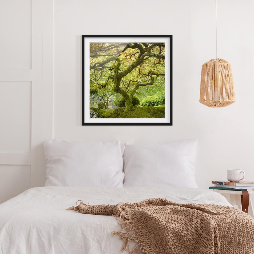 Gerahmtes Poster Green Japanese Garden