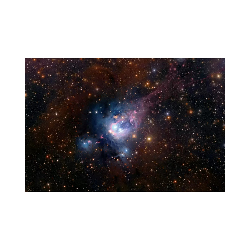 Stellar Nursery (NGC 7129) by Robert Gendler - Wrapped Canvas Print, 20.32 cm H x 30.48 cm W