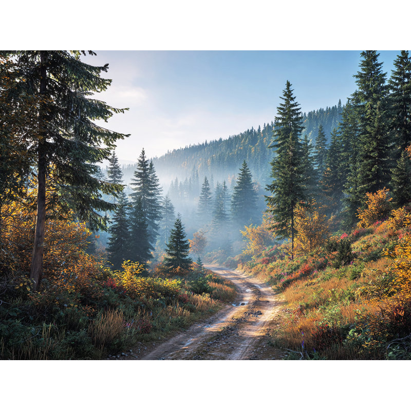 Art mural sur toile Serene Mountain Trail, H 24 po x l 36 po