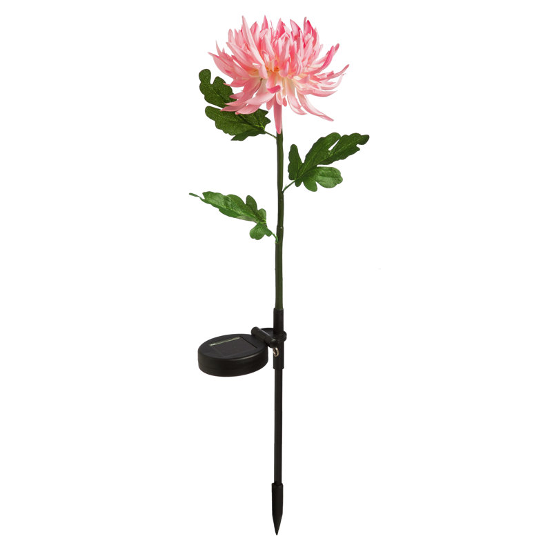 Piquet de jardin Lavatrice, Rose