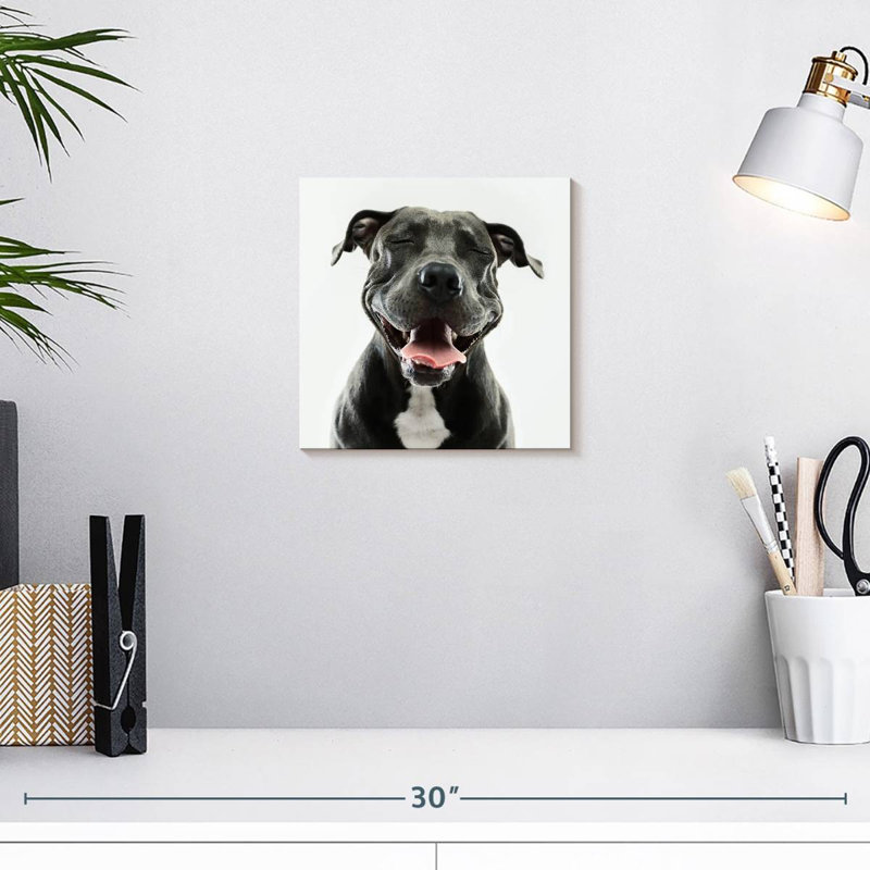 Brampt Smiling Black Pitbull, 10" H x 10" W