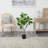 48'' Faux Grapefruit Tree in Pot