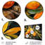 «Golden Mango Mosaic II» - fruits, art mural en métal-1868118196