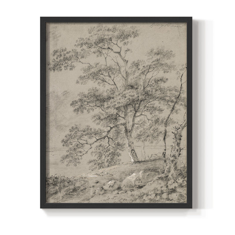 Reproduction encadrée rétro en bois massif Lxxxvii, H 21 po x l 17 po, Noir, noir, noir, noir