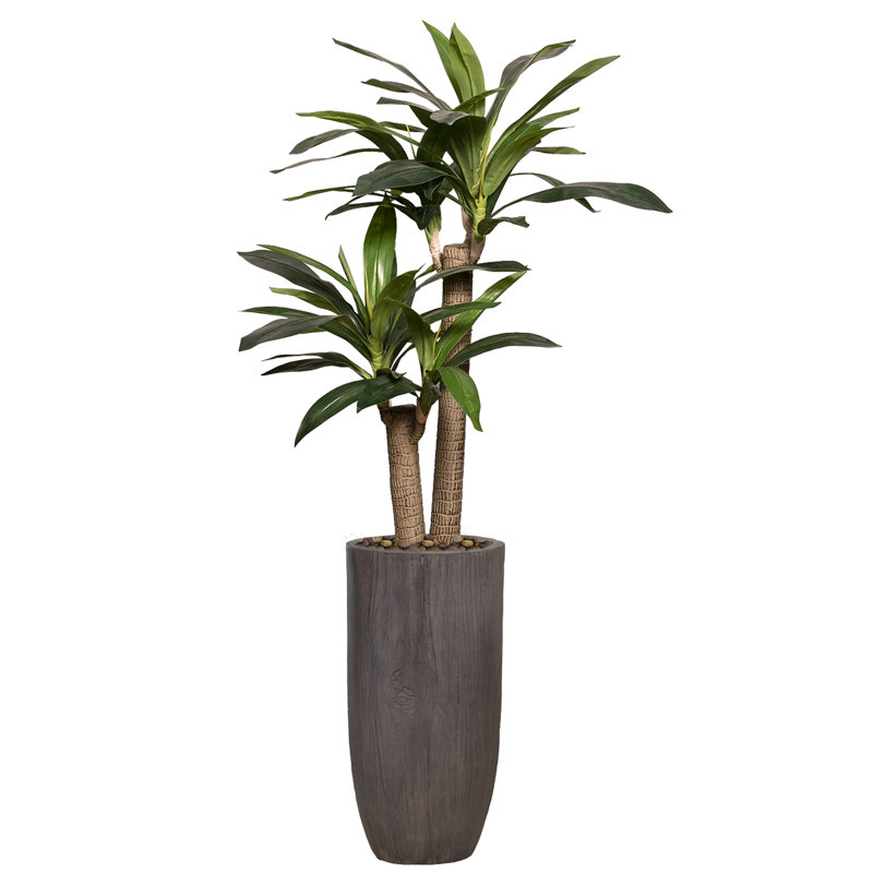 Panama artificiel 65 po Dracaena en pot