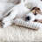 PETMAKER Dog Bed Replacement Cover-443007809-501319947