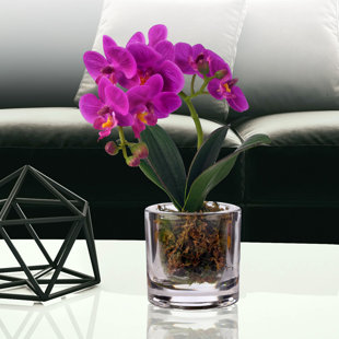 Orchid Centerpiece in Glass 10" Tall