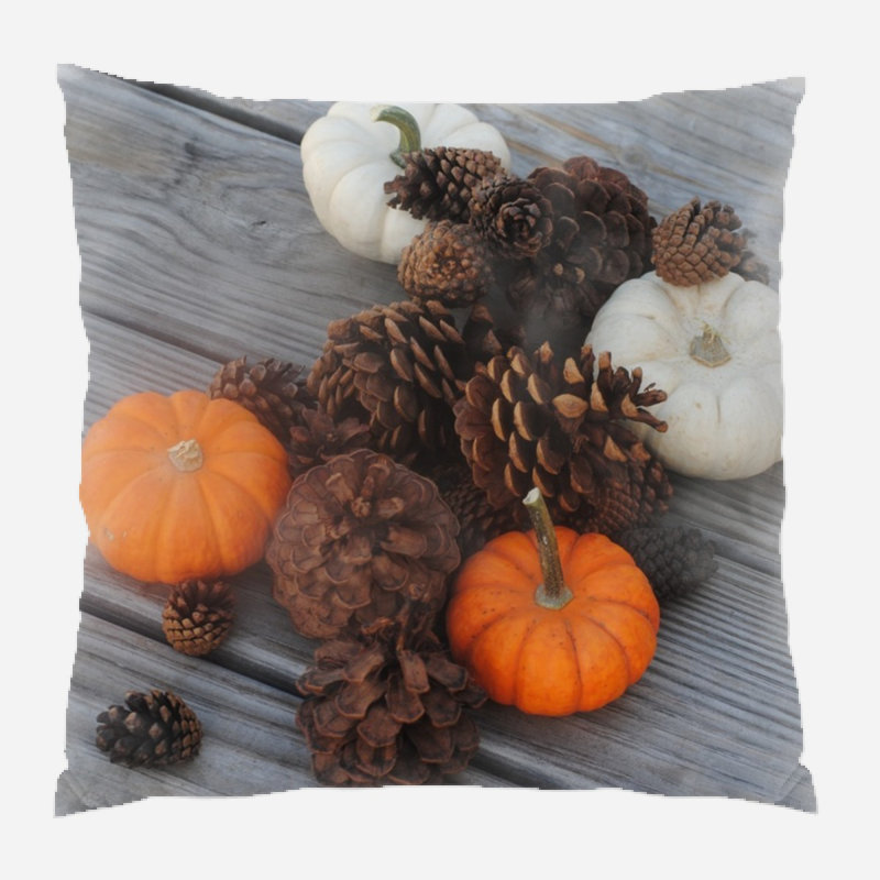  Coussin décoratif intérieur / extérieur Pumpkin