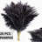 Atalaya 17'' Faux Pampas Grass Grass-1025438046-1025438019
