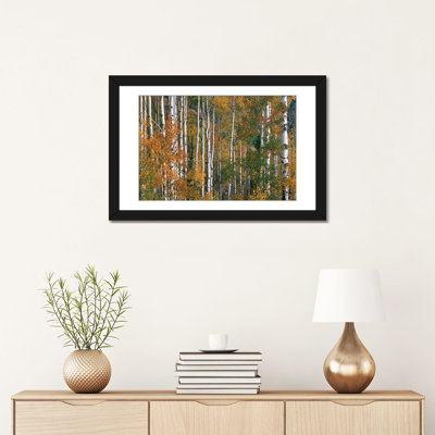 «Quake Aspen Trees in Fall Colors, Lac perdu, Forêt nationale de Gunnison, Colorado», reproduction de photo sur toile