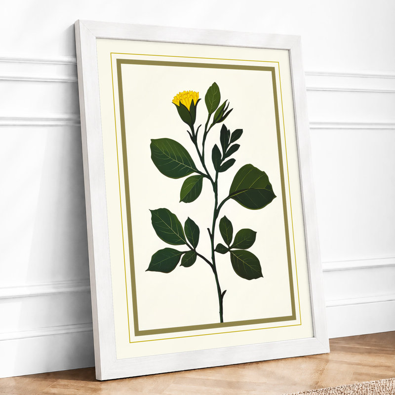 Yellow Flowering Stem Botanical - Framed Print, A2 - 59.4 x 42.0 cm, White