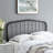 Lennon Metal Headboard-1915038601-1915038606