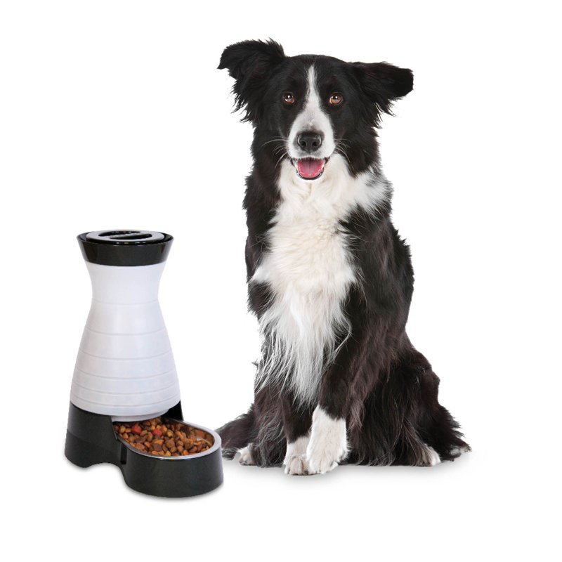 Distributeur automatique de nourriture saine pour animaux, Moyen (1 tasse / 64 oz liquides), Moyen (13,8 po)
