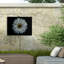 Bolognaise bolivien, Brian Carson, fleurs de jardin 71-98043708