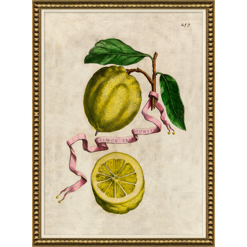 Lemons And Ribbons 2 Giclee Print