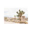 Joshua Tree, Mohave Desert - Wrapped Canvas Print-1127159365