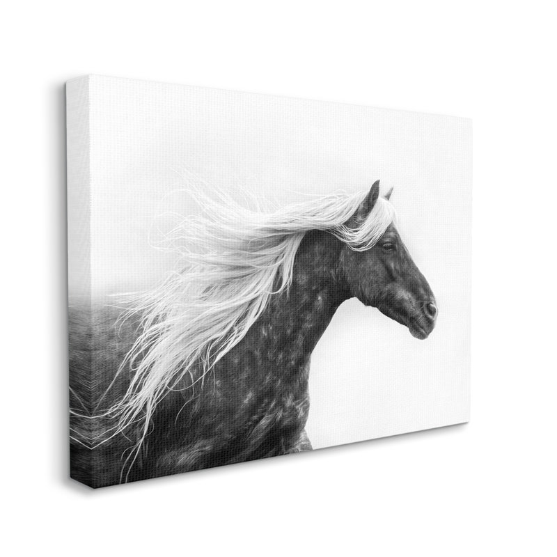 Cheval avec crinière blanche sur toile par PHBurchett, H 30 po x l 40 po x P 1,5 po