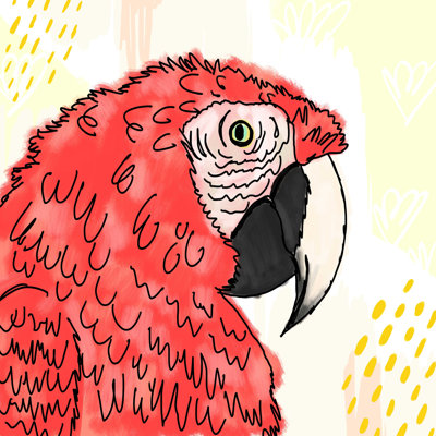 " Allyson Johnson Gilbert The Parrot " by Allyson Johnson